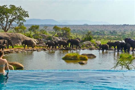 This Luxury Safari In Africa Is What Travel Dreams Are Made Of