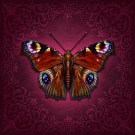Peacock Butterfly By Brigid Ashwood Pink Insects Painting Art And