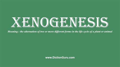 Xenogenesis How To Pronounce Xenogenesis With Phonetic And Examples