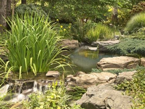 Mit einer fertigen schale können sie selbst einen gartenteich anlegen. Wasserspiele im Garten machen den Aufenthalt dort zu einem ...