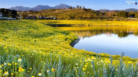 Mountains Meadow Flowers Pond Car Beautiful Views Wallpapers