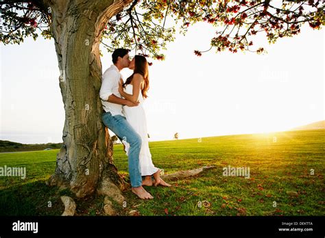 Couple Kissing By Tree In Park Stock Photo Alamy