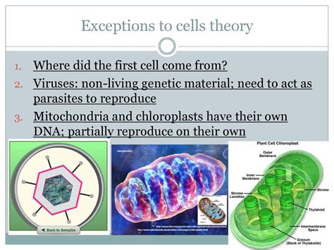 Cell Theory Ppt Download