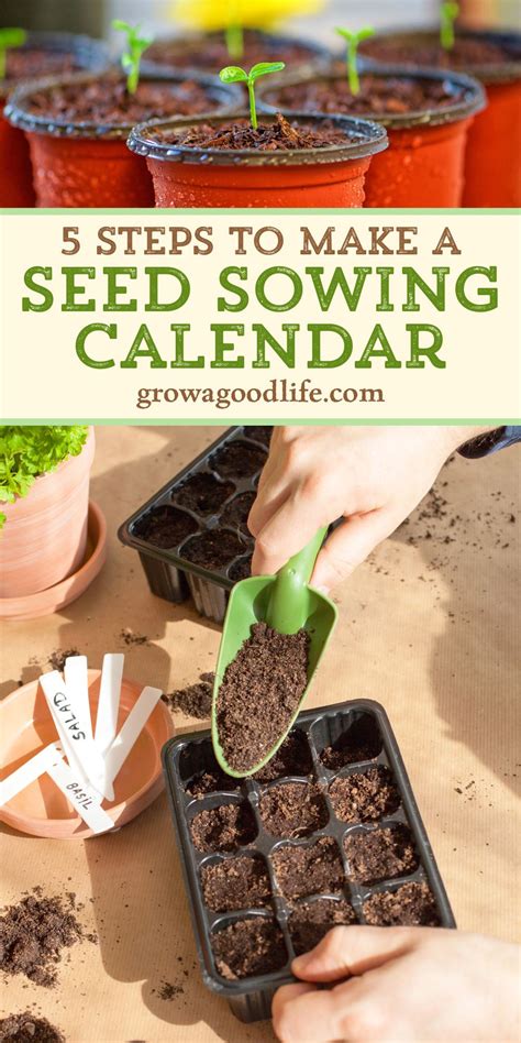 How To Make A Seed Starting Schedule Vegetable Garden Planning Food