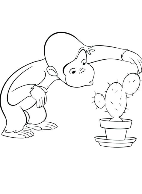 Download or print this amazing coloring page: Bengals Coloring Pages at GetColorings.com | Free ...