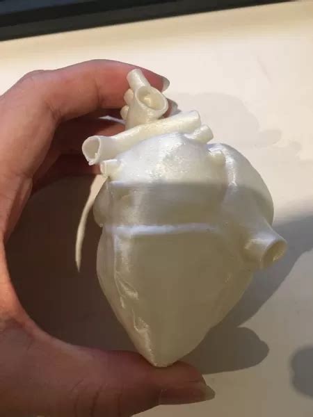 3d Printable Human Heart 3d Printing Model Threeding