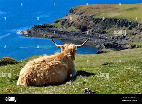 United Kingdom Scotland Highland Inner Hebrides Isle Of Mull
