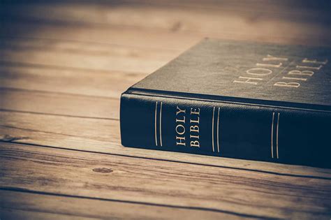 The Roman Catholic Bible Reformed Perspective