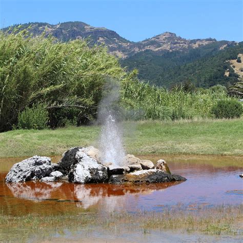 old faithful geyser of california calistoga ce qu il faut savoir