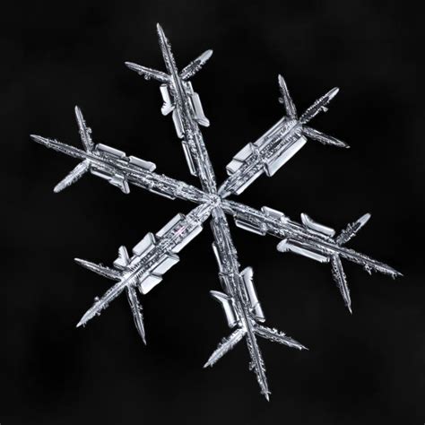 Photos Incredible Snowflake Close Ups