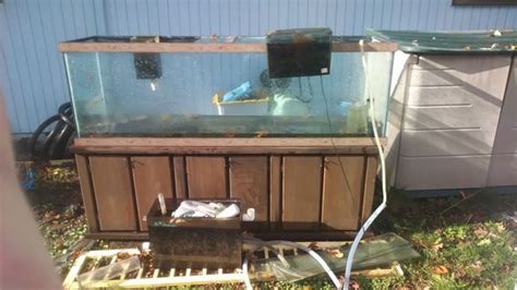 240 Gallon Fish Tank Stand A Miracle Filter Box With Algee Balls