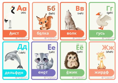 Russian Alphabet Flashcards Animals Teaching Resources