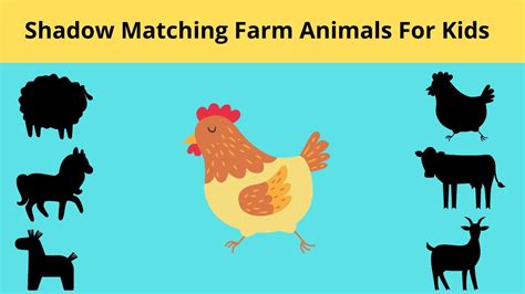 Shadow Matching Farm Animals For Kids Wrong Shadow Matching Games For