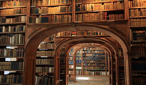 Library Stock Photos Pictures And Royalty Free Images Istock