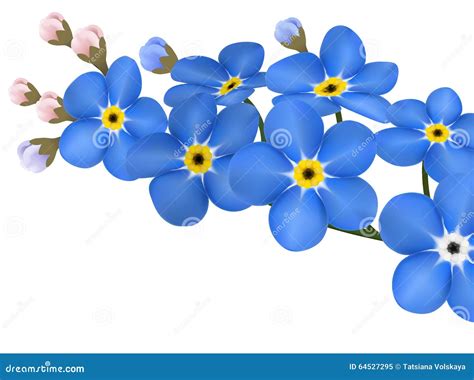 Branch Of Blue Forget Me Not Flowers Isolated Vector Illustration