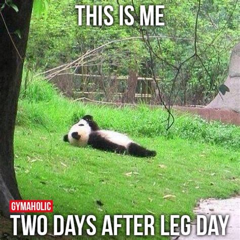 This Is Me Tow Days After Leg Day Gymaholic Fitness App