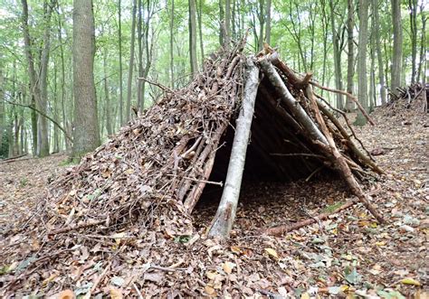 How To Build A Lean To Shelter For Survival I Need That To Prep