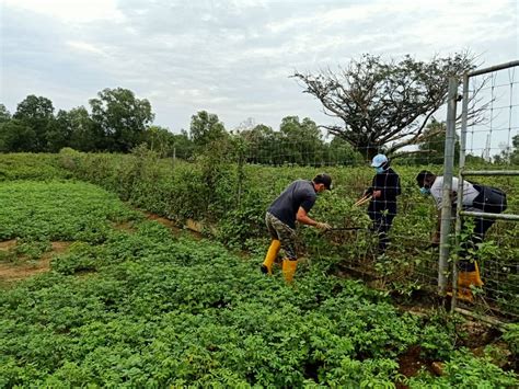 Agriculture company, community organization, government organization. Antara program yang berlansung sepanjang hari tersebut ...