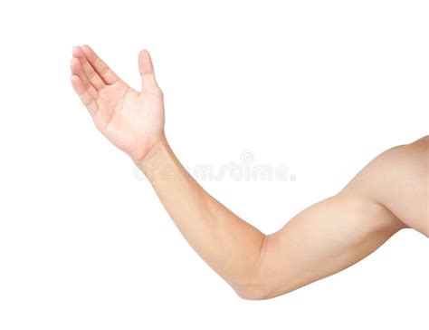 Braccio Dell Uomo Con Le Vene Ematiche Su Bianco Immagine Stock Immagine Di Donazione