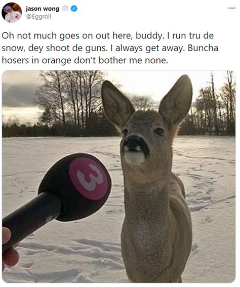 Buncha Hosers Deer Being Interviewed Canadian Deer Know Your Meme