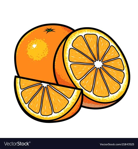 Orange Fruits Royalty Free Vector Image Vectorstock