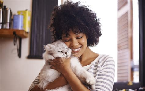 It's made easy because of how homogenous the contents are, with nothing to disrupt visual contrast or obscure mental clarity. Vets Near Me | Cats Are Awesome | East Valley Animal Hospital