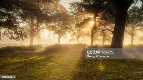 Crepuscular Ray Photos And Premium High Res Pictures Getty Images