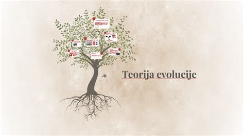 Teorija Evolucije By Melida Radoncic