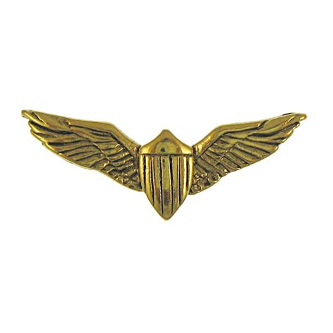 Gold Pilot Wings Lapel Pin Cc497g Aviation Pins For Pilots Etsy