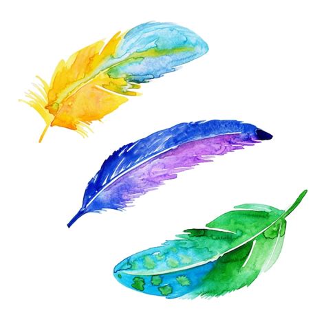 Premium Vector Beautiful Watercolor Feather Collection