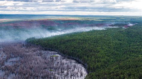 In Photos Disastrous Wildfires Sweep Siberia The Moscow Times