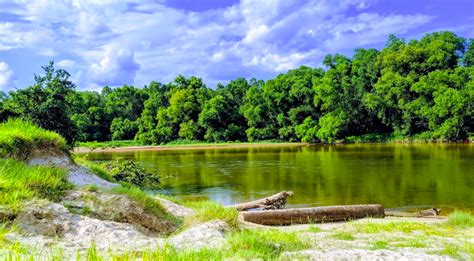 Bogue Chitto State Park Near New Orleans Is A Natural Oasis