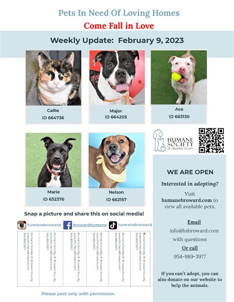 Weekly Pet Flyer: February 9, 2023 - Humane Society of Broward County