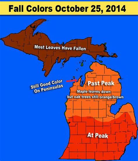 Michigan Leaf Color Map 2022 World Map
