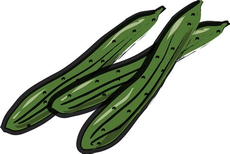 Cucumber Clipart Free Download Transparent Png Creazilla