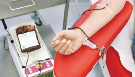 93 نسبة التبرع التطوعي بالدم في السلطنة خلال العام الماضي الشبيبة آخر أخبار سلطنة عمان