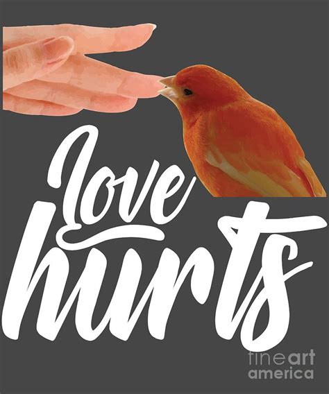 Funny Canary Owner Design Love Hurts Bird Owner Digital Art By Mike G