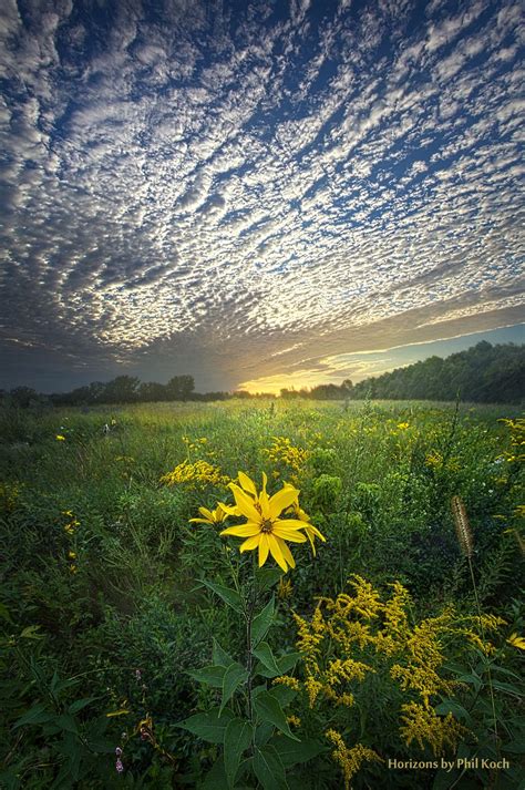 Wisconsin Horizonsturning Landscapes Into Portraits Of Nature
