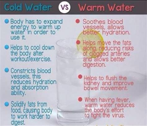 The Difference Between Cold Water Vs Warm Water Musely