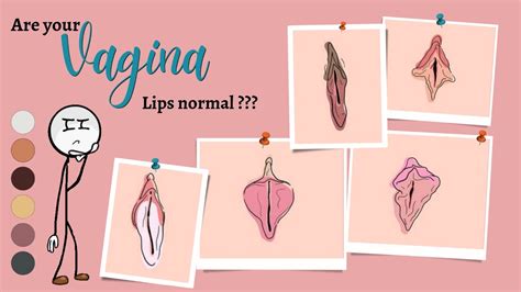 Are Your Vaginal Lips Normal Know Your Body Youtube