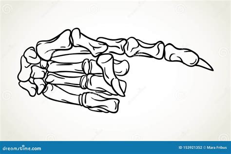 Skeleton Hand Pointing Stock Illustrations 151 Skeleton Hand Pointing