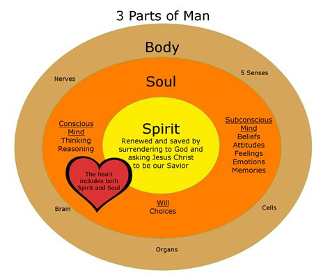 Check out our diagram man body selection for the very best in unique or custom, handmade pieces from our shops. We are made of 3 parts: Spirit, Soul and Body. When you ...