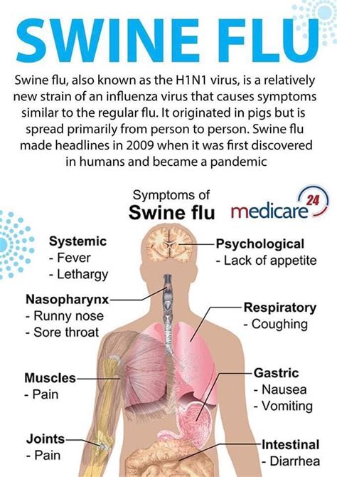 Swine Flu Symptoms Carletonville Herald