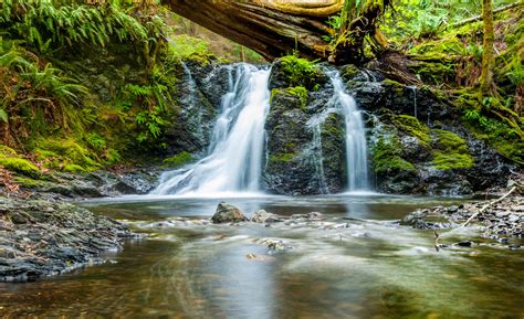 Beautiful Small Waterfall Landscape In Moran State Park Image Free