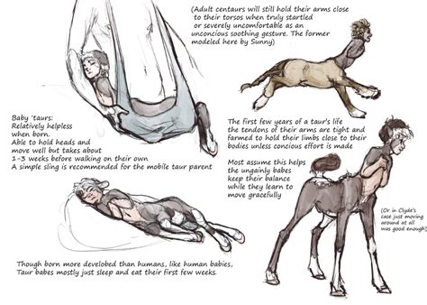 Centaur Biology Early Development Mythical Creatures Art Centaur