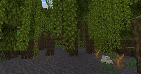 How To Find The Mangrove Swamp In Minecraft