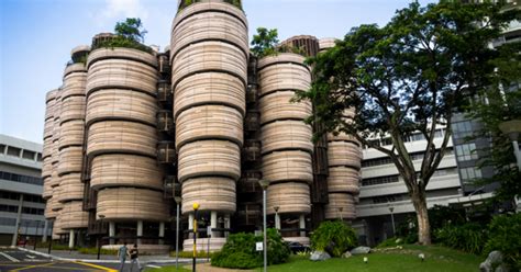 Highest number of cases in more than 4 months. 40 undergraduate programmes in NTU will consider passion ...