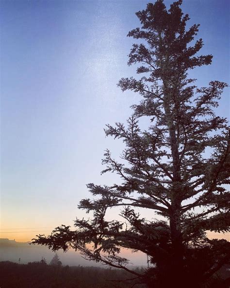 Бёрр стирс, рэйчел лайтермен, майкл нанкин. Chapelwaite (Jerusalem's Lot) : le tournage de la série a ...