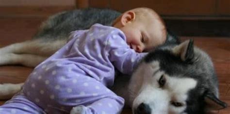 Unconditional Love Cute Babies And Their Animal Companions Yourtango