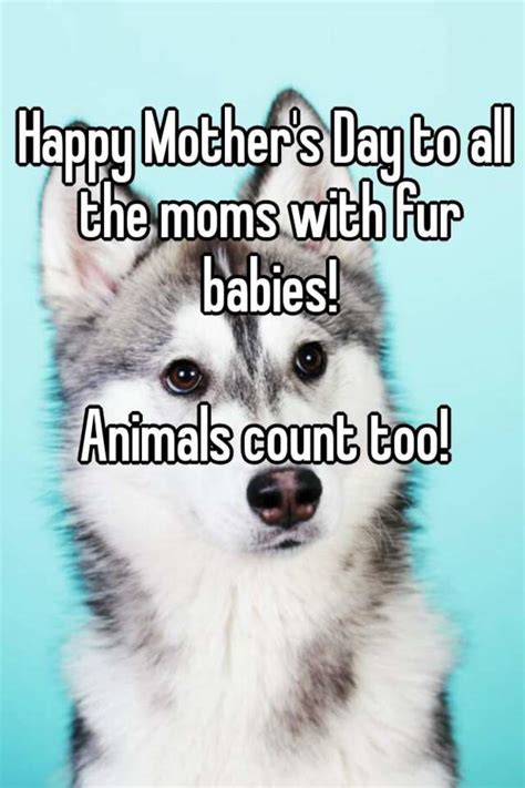 Happy Mothers Day To All The Moms With Fur Babies Animals Count Too